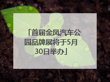 首届金凤汽车公园品牌展将于5月30日举办