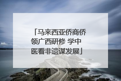马来西亚侨商侨领广西研修 学中医看非遗谋发展
