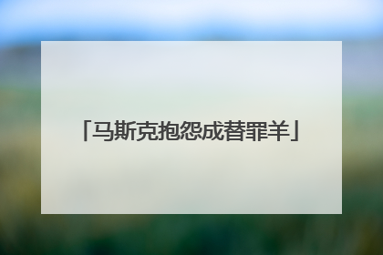 马斯克抱怨成替罪羊