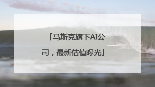 马斯克旗下AI公司，最新估值曝光