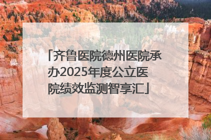 齐鲁医院德州医院承办2025年度公立医院绩效监测智享汇