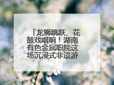 龙狮跳跃、花鼓戏唱响！湖南有色金属职院这场沉浸式非遗游园活动很带感