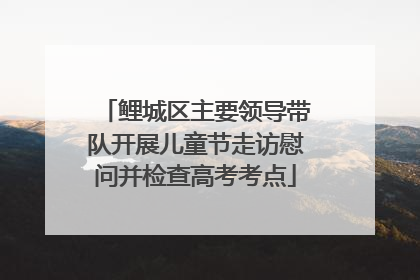 鲤城区主要领导带队开展儿童节走访慰问并检查高考考点