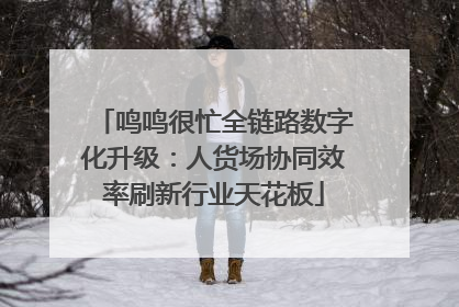 鸣鸣很忙全链路数字化升级：人货场协同效率刷新行业天花板