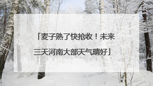 麦子熟了快抢收！未来三天河南大部天气晴好