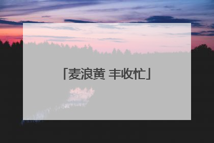 麦浪黄 丰收忙