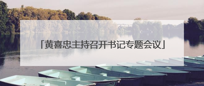 黄喜忠主持召开书记专题会议