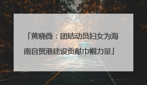黄晓薇：团结动员妇女为海南自贸港建设贡献巾帼力量