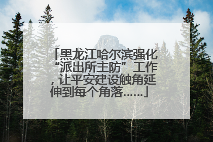 黑龙江哈尔滨强化“派出所主防”工作，让平安建设触角延伸到每个角落……
