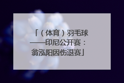 （体育）羽毛球——印尼公开赛：翁泓阳因伤退赛