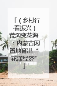 （乡村行·看振兴）荒沟变花海：内蒙古闲置地育出“花漾经济”