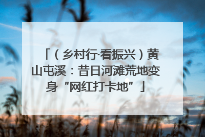 （乡村行·看振兴）黄山屯溪：昔日河滩荒地变身“网红打卡地”