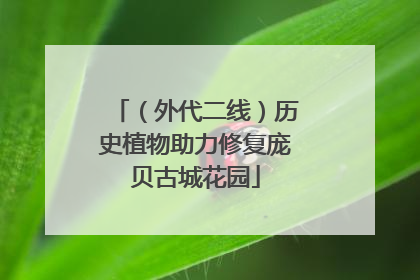 （外代二线）历史植物助力修复庞贝古城花园