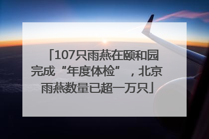 107只雨燕在颐和园完成“年度体检”，北京雨燕数量已超一万只