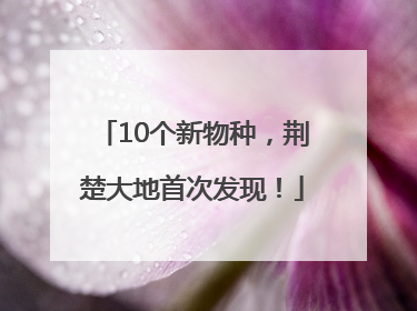 10个新物种，荆楚大地首次发现！