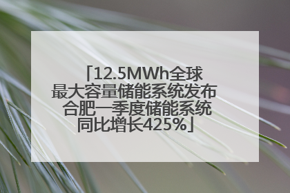 12.5MWh全球最大容量储能系统发布 合肥一季度储能系统同比增长425%