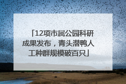 12项市属公园科研成果发布，青头潜鸭人工种群规模破百只