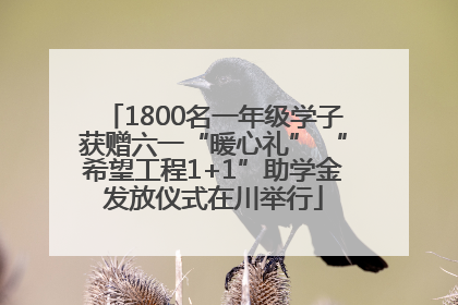 1800名一年级学子获赠六一“暖心礼” “希望工程1+1”助学金发放仪式在川举行