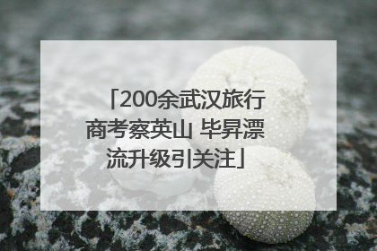 200余武汉旅行商考察英山 毕昇漂流升级引关注