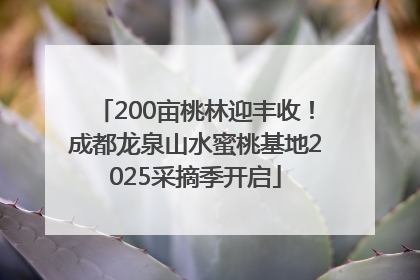 200亩桃林迎丰收！成都龙泉山水蜜桃基地2025采摘季开启