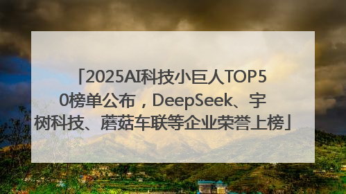 2025AI科技小巨人TOP50榜单公布，DeepSeek、宇树科技、蘑菇车联等企业荣誉上榜