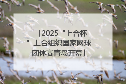 2025“上合杯”上合组织国家网球团体赛青岛开幕