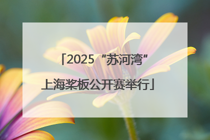 2025“苏河湾”上海桨板公开赛举行