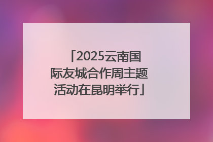 2025云南国际友城合作周主题活动在昆明举行