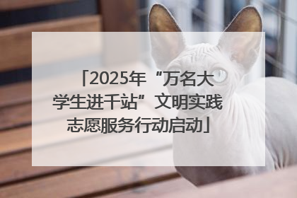 2025年“万名大学生进千站”文明实践志愿服务行动启动