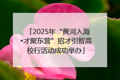 2025年“黄河入海•才聚东营”招才引智高校行活动成功举办
