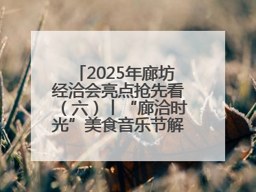 2025年廊坊经洽会亮点抢先看（六）丨“廊洽时光”美食音乐节解锁潮酷打卡方式