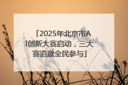 2025年北京市AI创新大赛启动，三大赛道邀全民参与