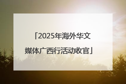 2025年海外华文媒体广西行活动收官