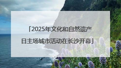 2025年文化和自然遗产日主场城市活动在长沙开幕