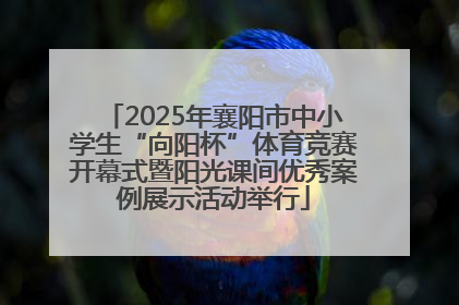 2025年襄阳市中小学生“向阳杯”体育竞赛开幕式暨阳光课间优秀案例展示活动举行