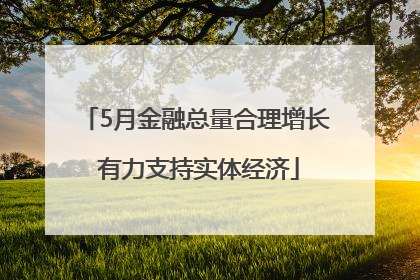 5月金融总量合理增长 有力支持实体经济