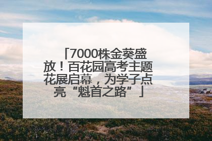 7000株金葵盛放！百花园高考主题花展启幕，为学子点亮“魁首之路”