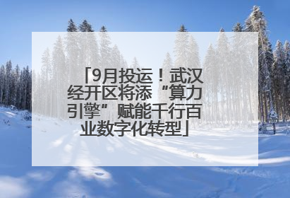 9月投运！武汉经开区将添“算力引擎”赋能千行百业数字化转型