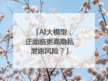 AI大模型，正面临更高隐私泄露风险？