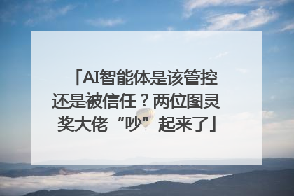 AI智能体是该管控还是被信任？两位图灵奖大佬“吵”起来了