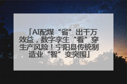 AI配煤“省”出千万效益，数字孪生“看”穿生产风险！宁阳县传统制造业“智”变突围