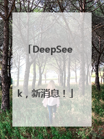 DeepSeek，新消息！