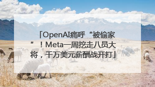 OpenAI痛呼“被偷家”！Meta一周挖走八员大将，千万美元薪酬战开打