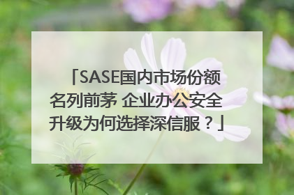 SASE国内市场份额名列前茅 企业办公安全升级为何选择深信服？