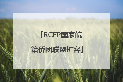 RCEP国家皖籍侨团联盟扩容